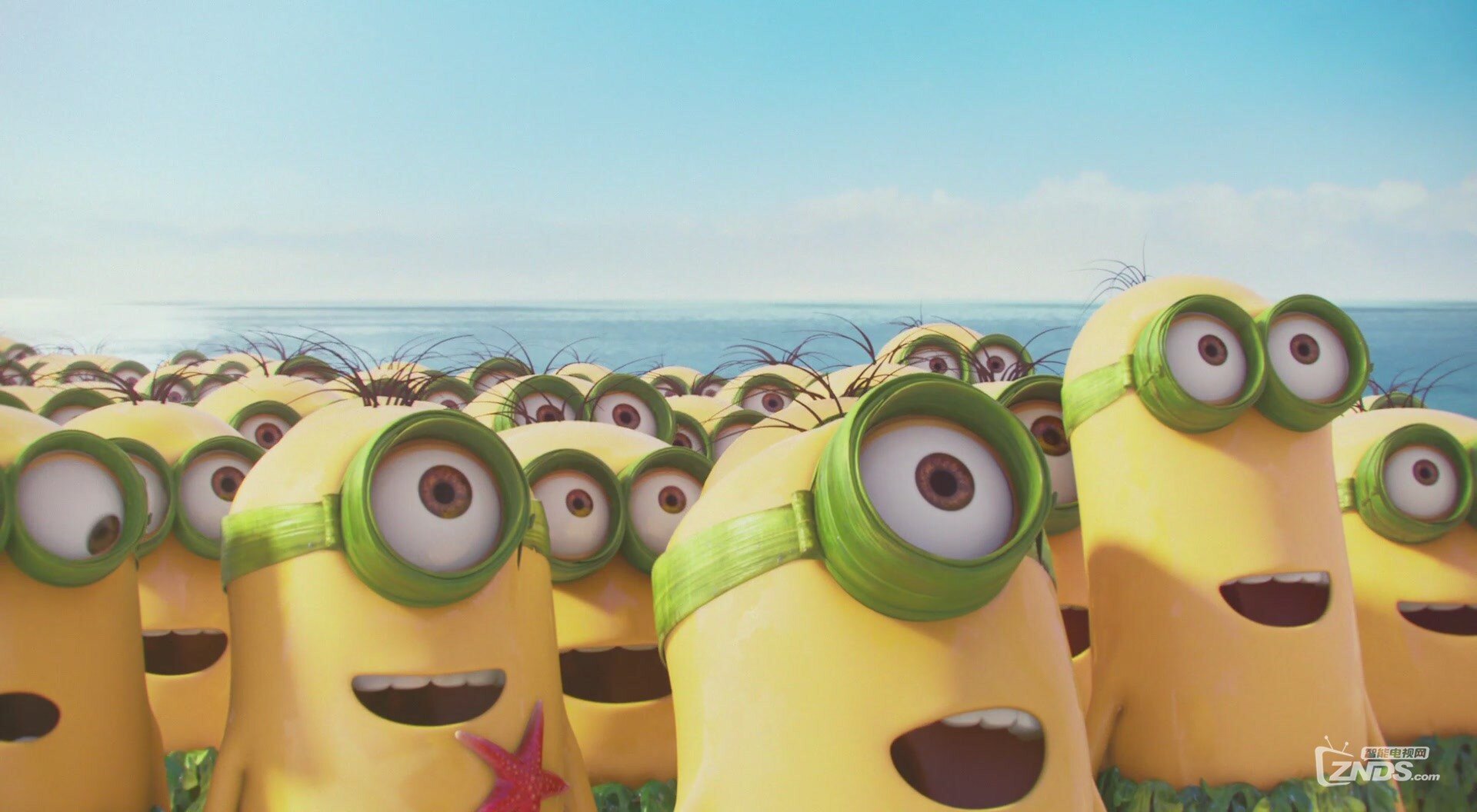 小黃人 Minions[(000687)16-54-22].JPG