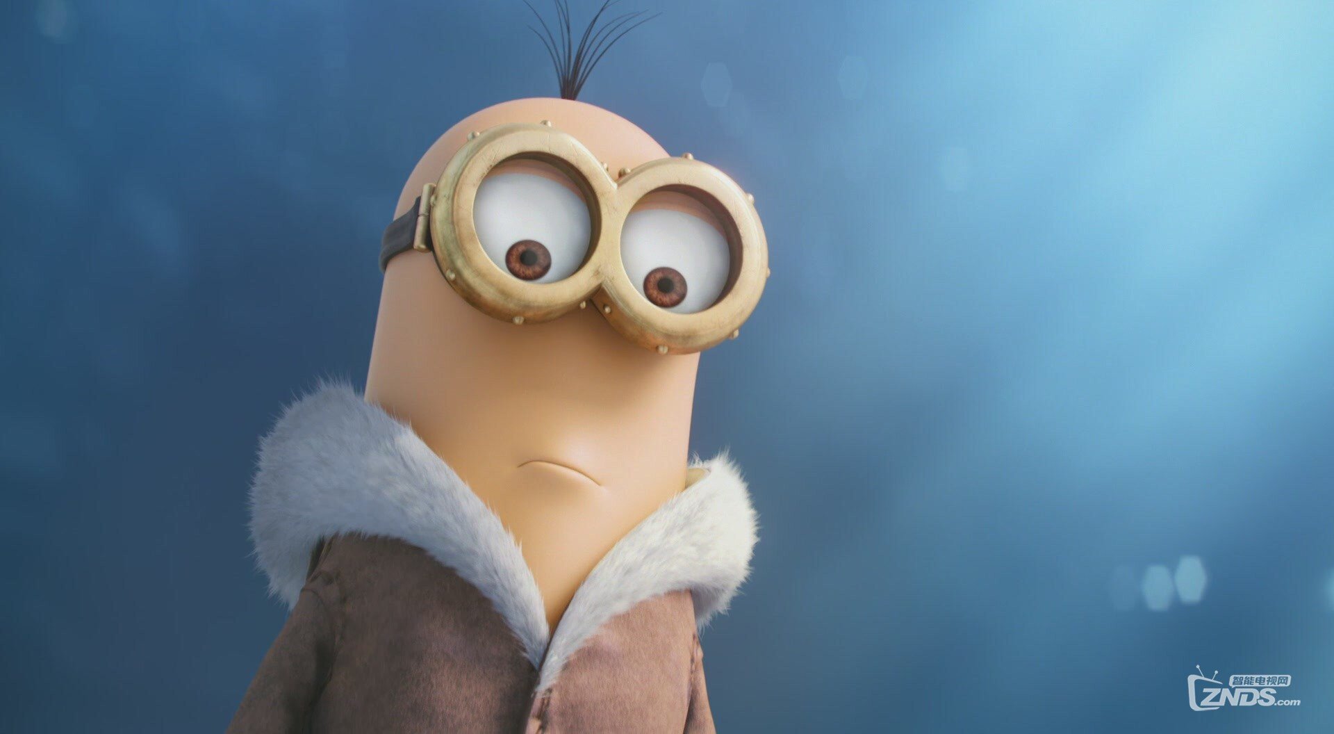 小黃人 Minions[(002253)16-56-40].JPG