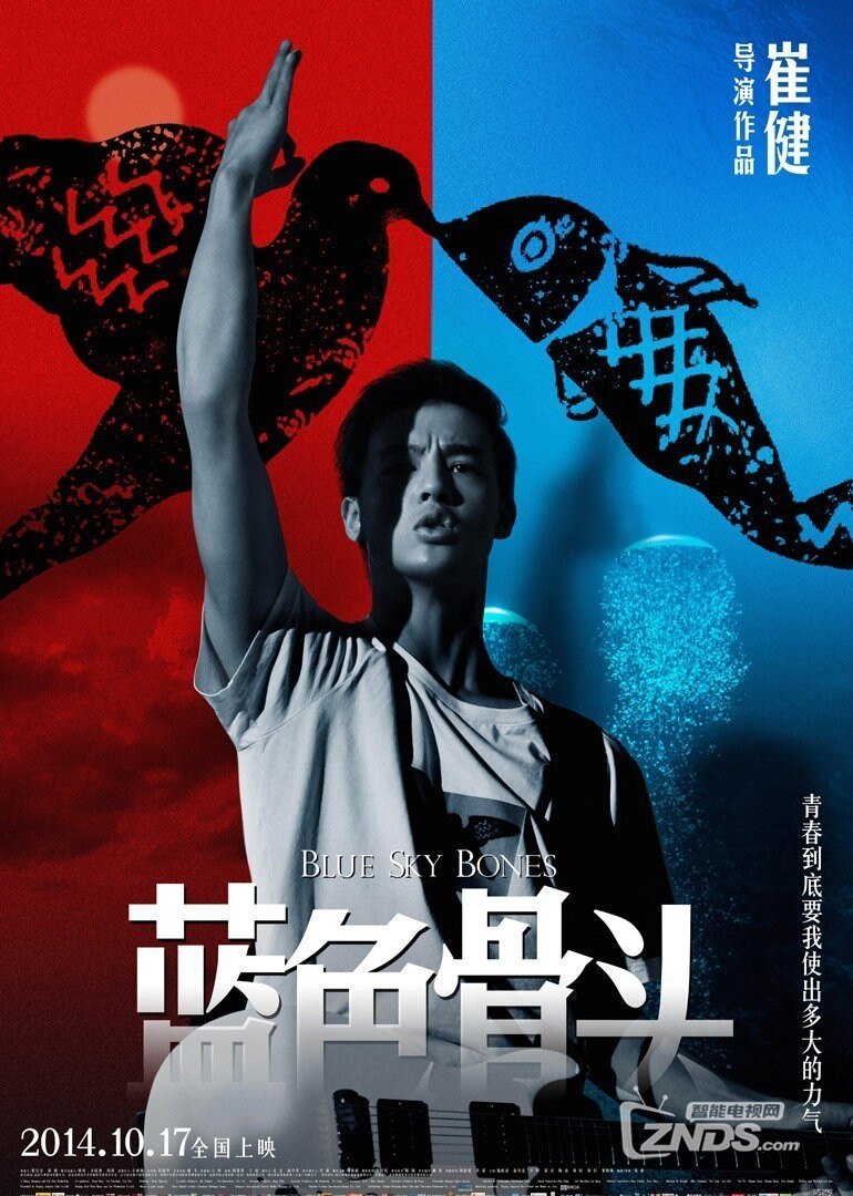 2014大陆剧情蓝色骨头1080p267gb国语中字