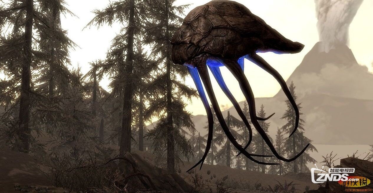 【上古卷轴：5天际传奇]日版]BLJM61086]The.Elder.Scrolls.V.Skyrim.L...
