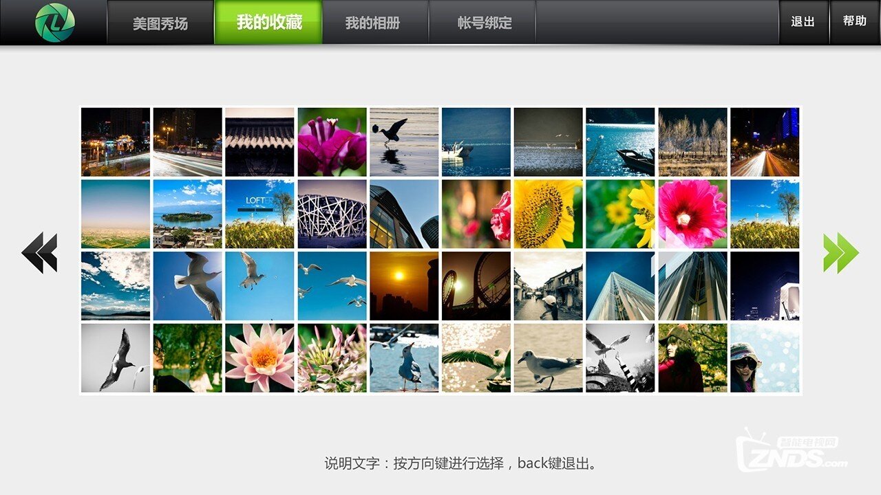 乐拍相册V1.0.1版更新发布，【ZNDS首发1.28】