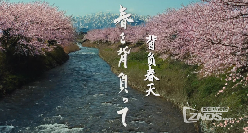 bf6a4caf30d03654s.png