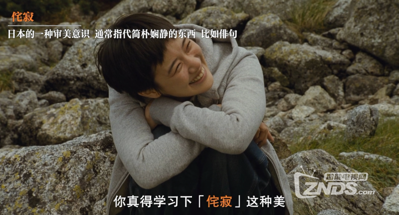 fd56039e45990812s.png