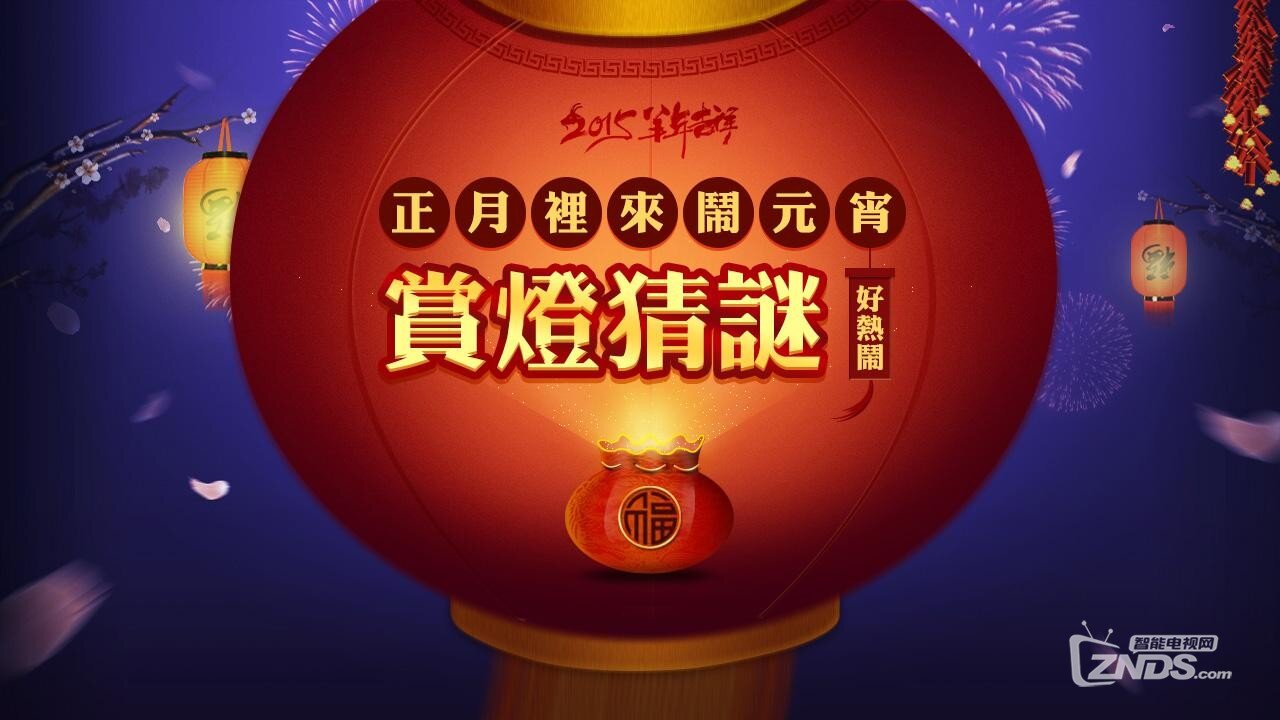 正月十五闹元宵，赏灯猜谜电视猫!