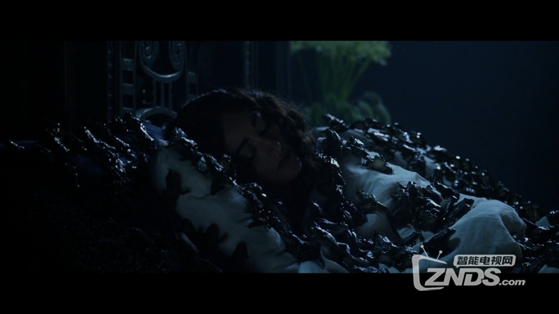 加勒比在线播放,h加勒比在线播放,加勒比在线播放 下载