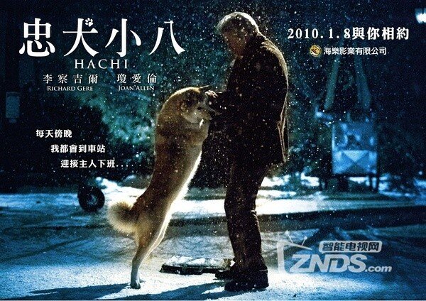2009英美催泪剧情电影《忠犬八公的故事》中字