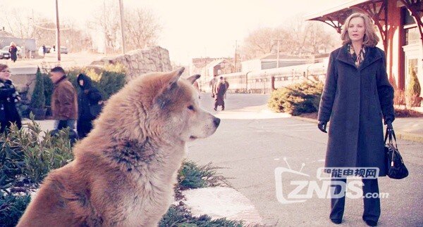 2009英美催泪剧情电影《忠犬八公的故事》中字