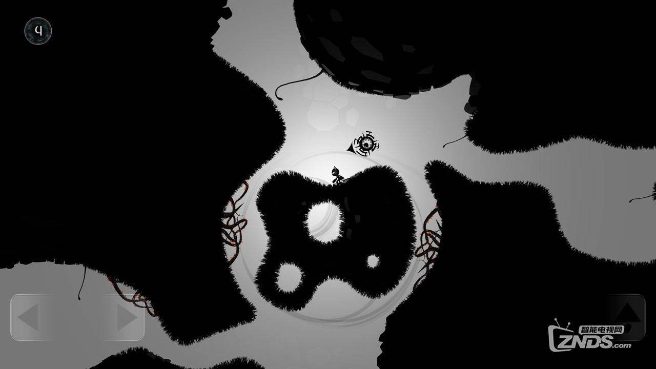 5.png