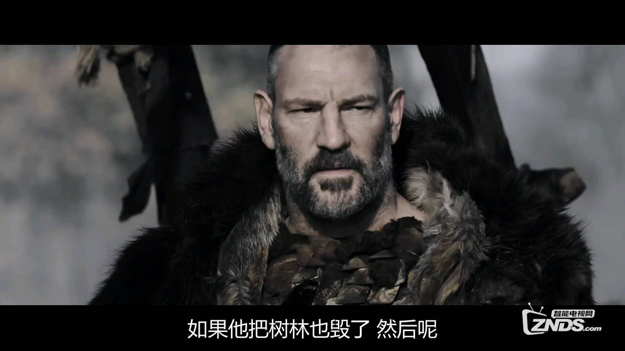 2015英国动作剧情《复仇之剑》高清720P版H