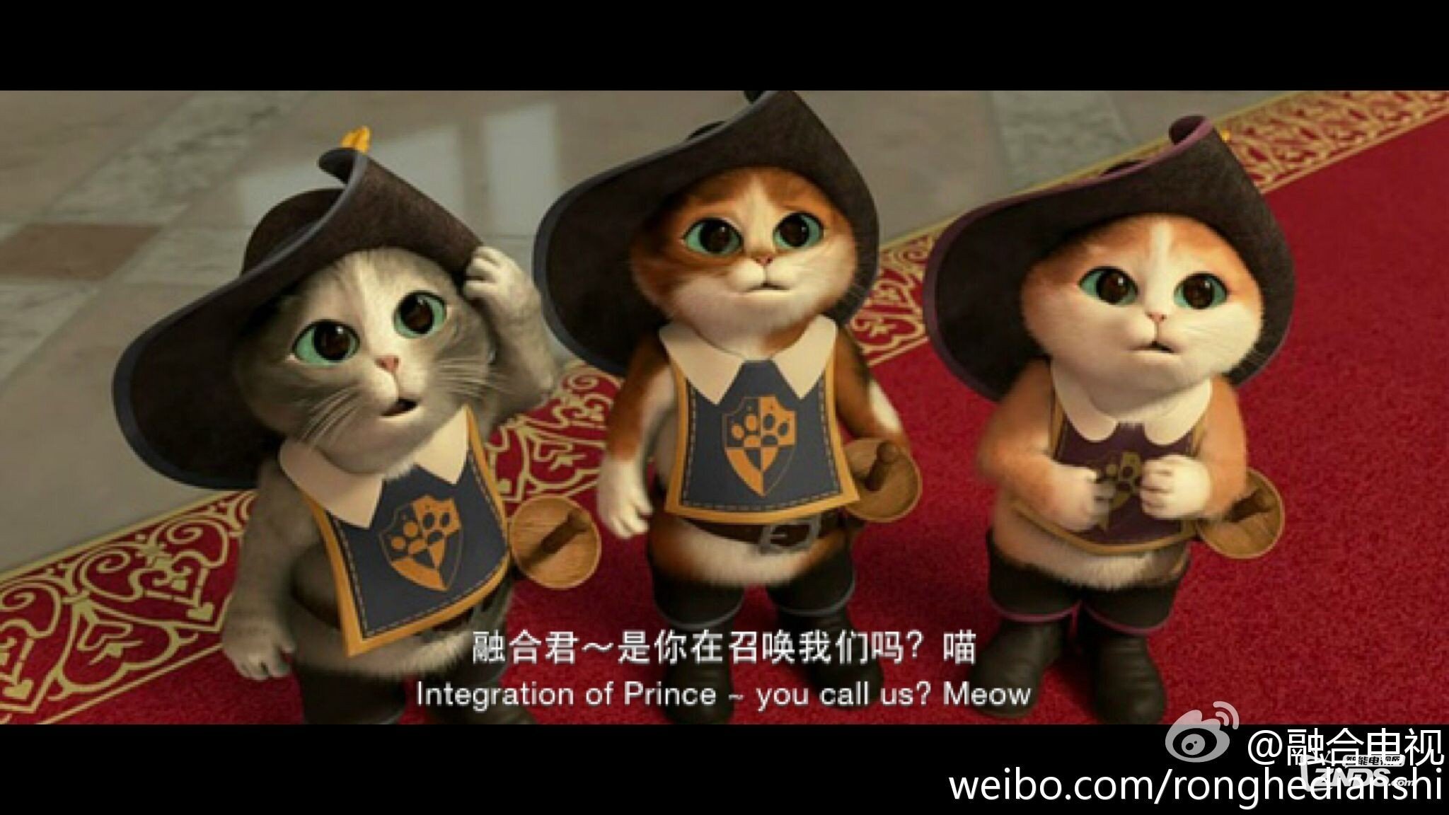 出大事啦！▎三剑客空降武汉 遭群众强势围观