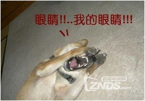 东北F4魔性走红 来我们这看新生代电视剧中F4们