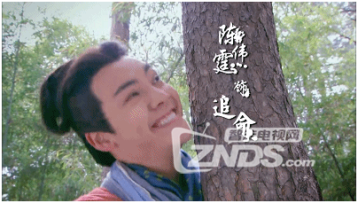 东北F4魔性走红 来我们这看新生代电视剧中F4们