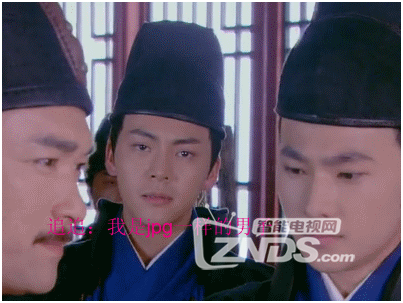 东北F4魔性走红 来我们这看新生代电视剧中F4们