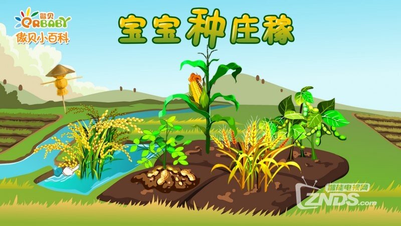 宝宝种庄稼V1.1版更新发布【ZNDS首发8.27】