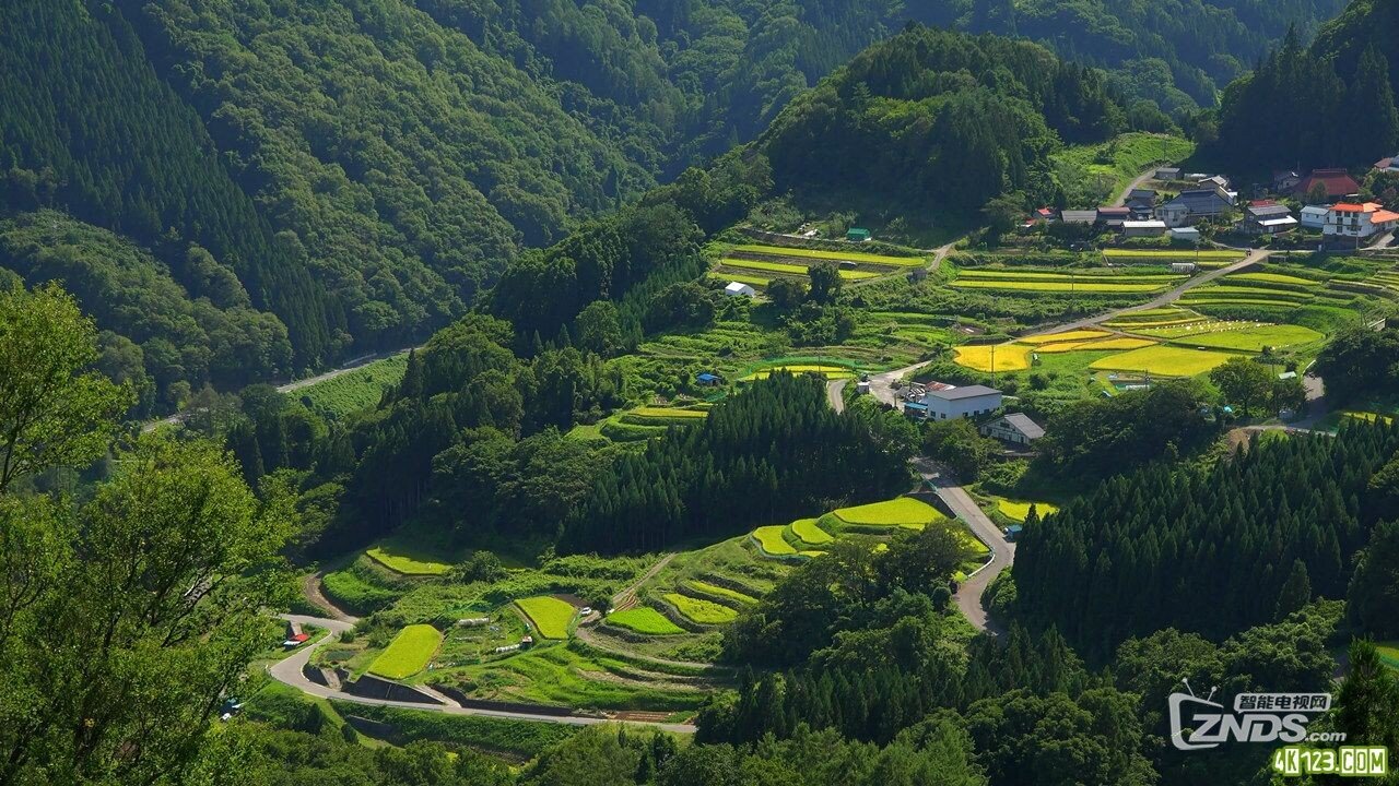 日本风景壁纸田园图片