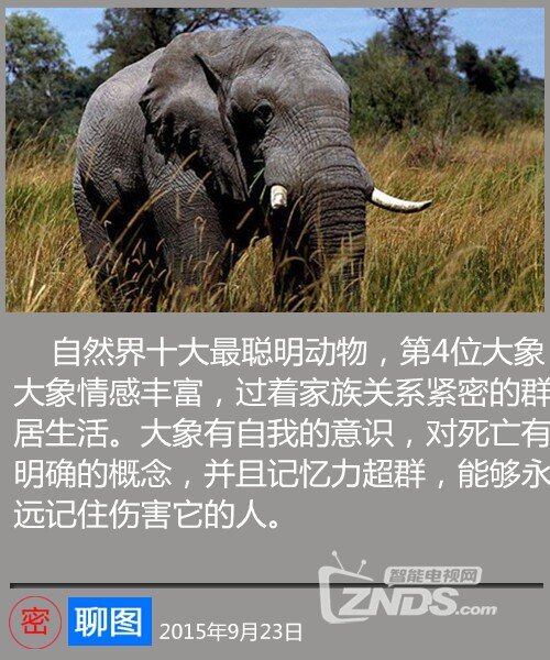 聊图-20150923-1
