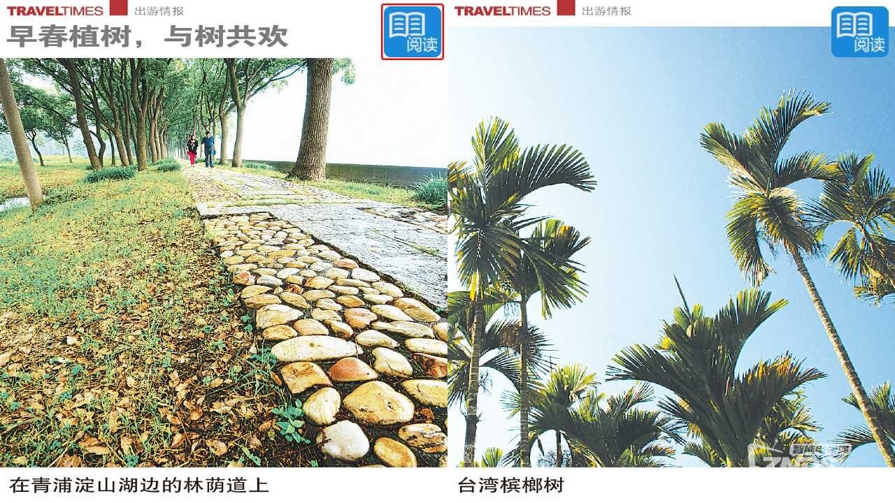 功能强大而且免费的电视端杂志阅读软件—VIVA畅读TV版