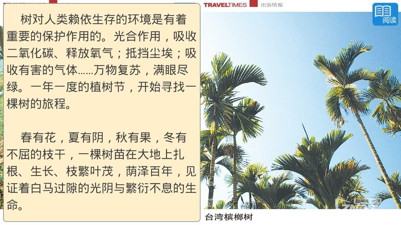 功能强大而且免费的电视端杂志阅读软件—VIVA畅读TV版