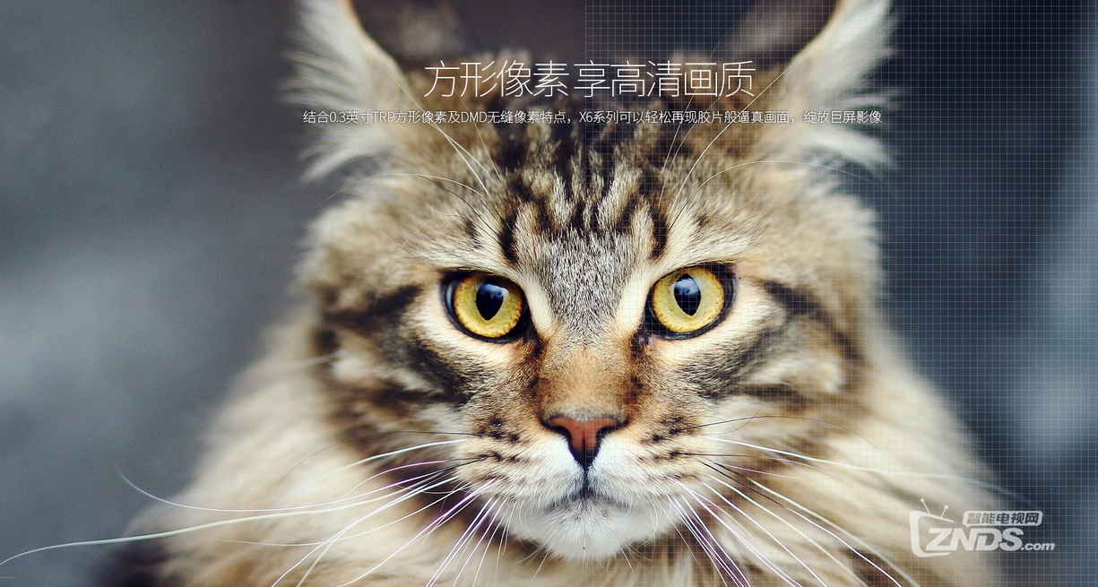 酷乐视X6能给我们带来什么？