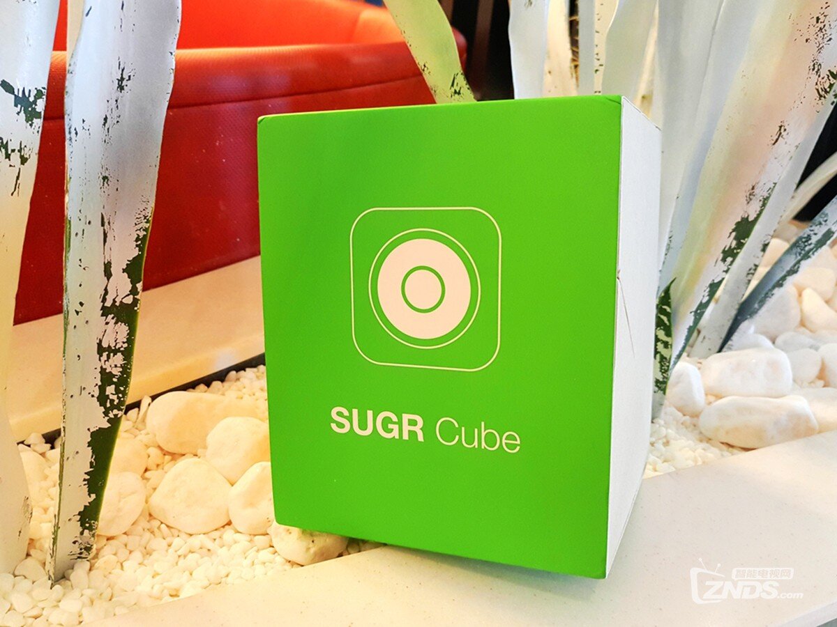 【我和音乐有个约会—Sugr Cube，你的私人顾问】