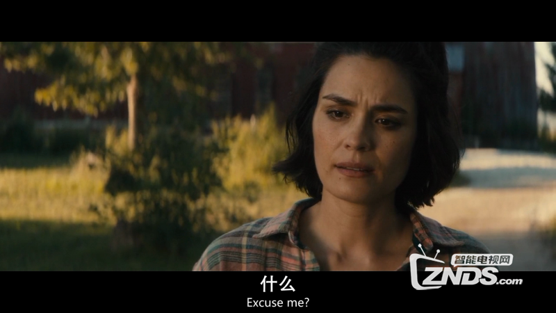 36c907778c56df4fs.png