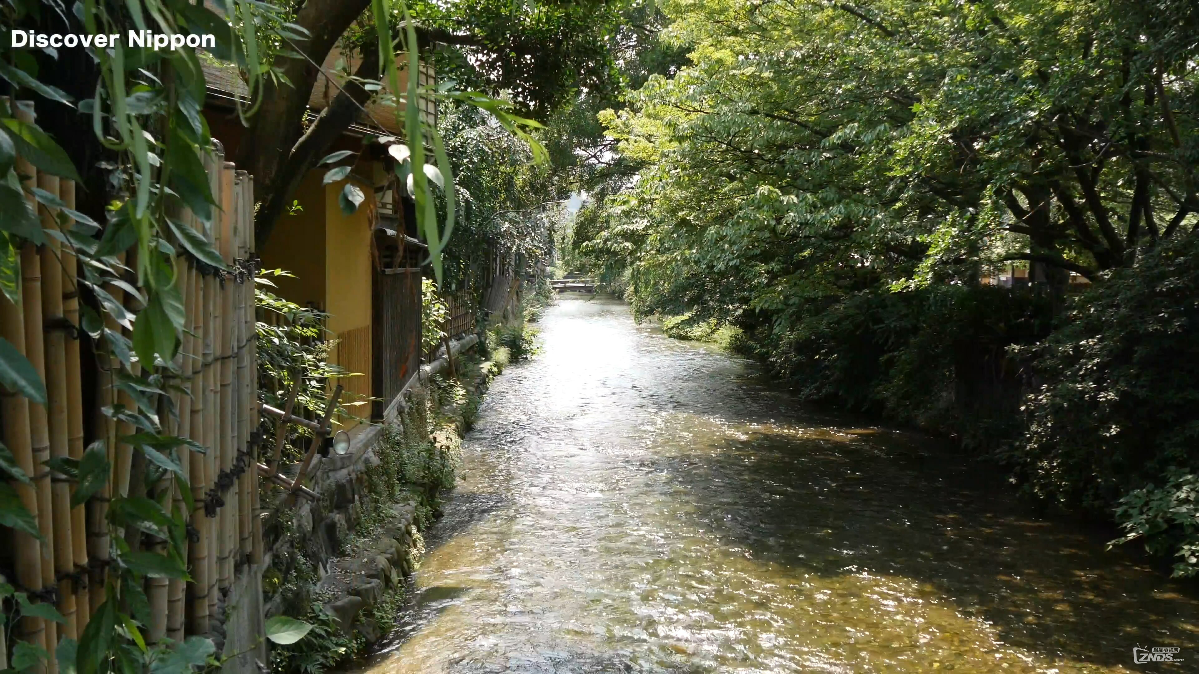 snapshot20151223172108.jpg