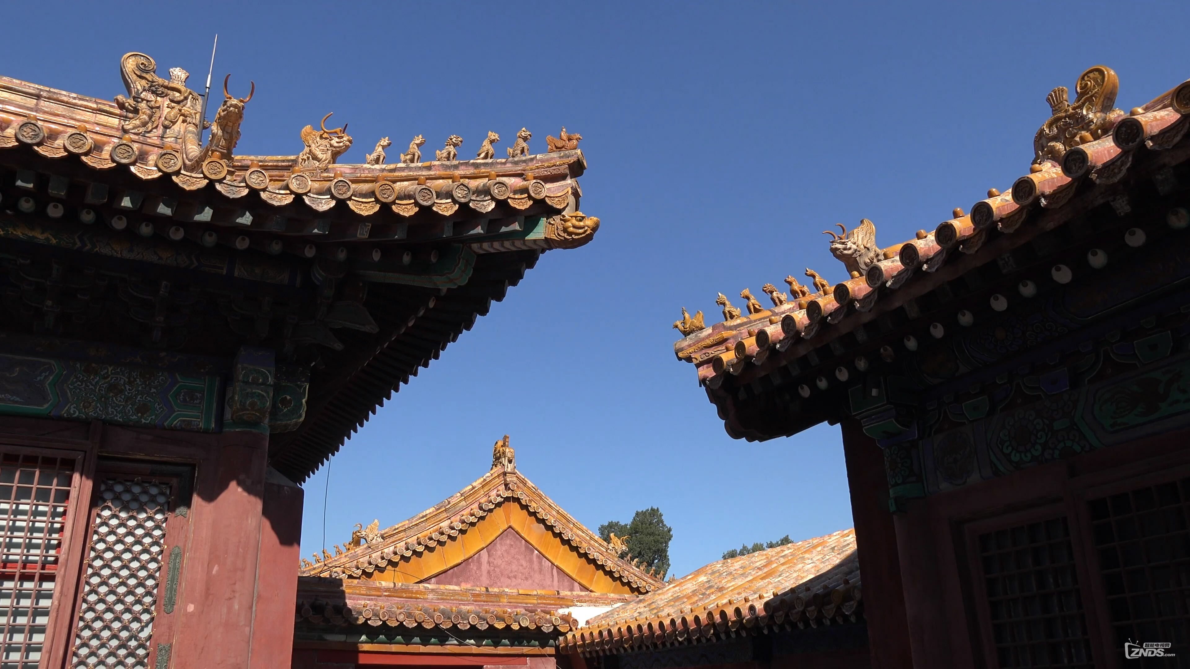 snapshot20151224203942.jpg