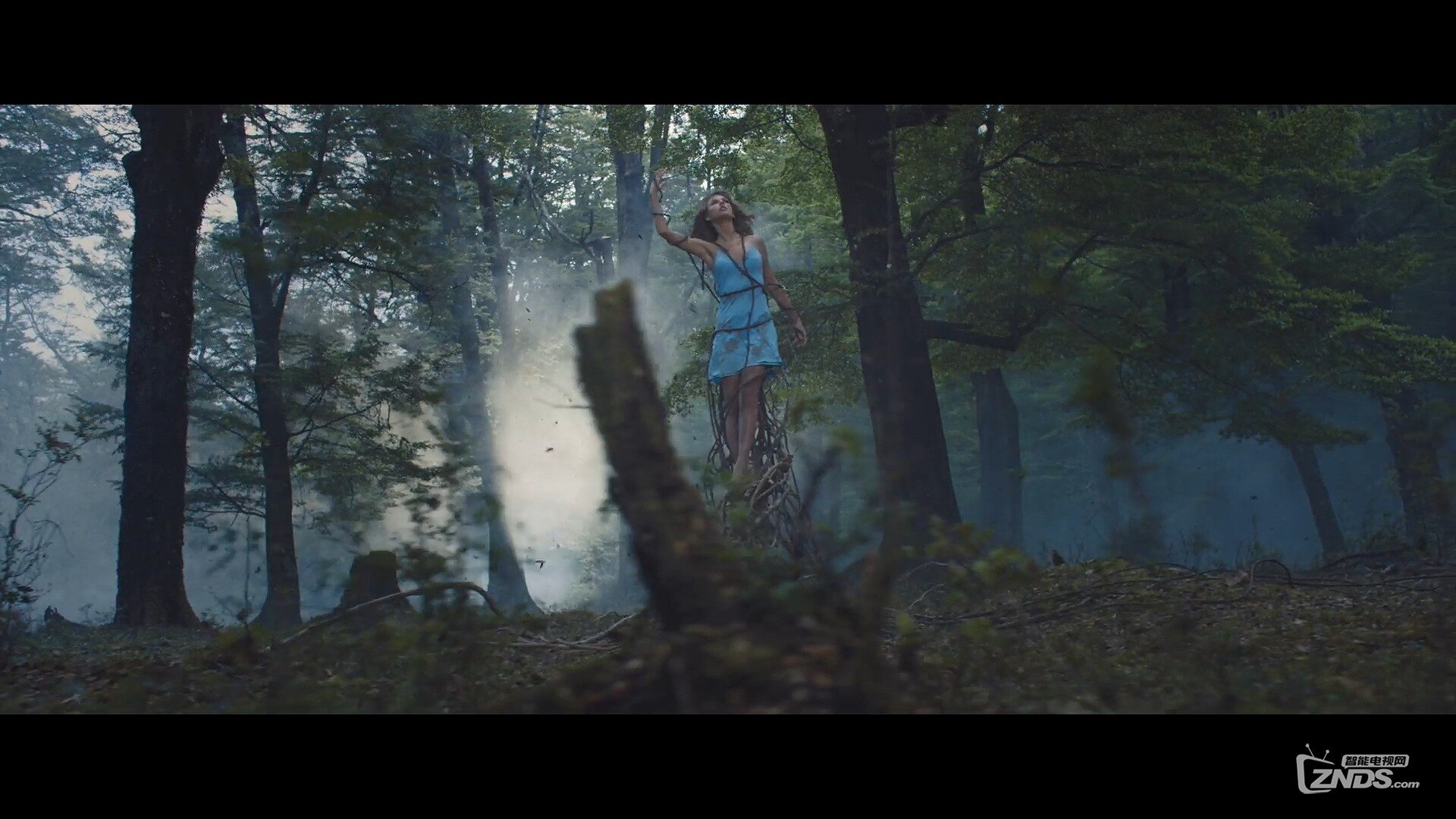 Taylor Swift - Out of the Woods.ts_20160103_194423.625.jpg