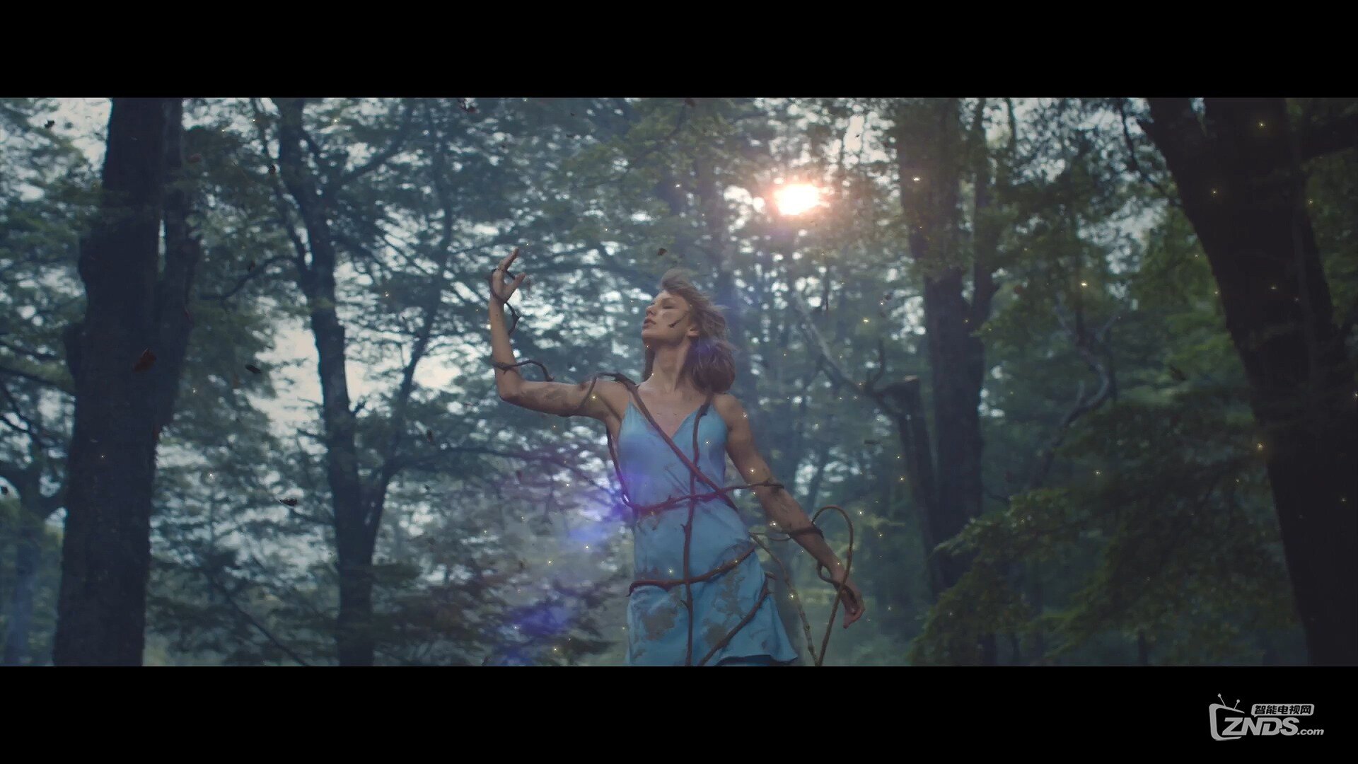 Taylor Swift - Out of the Woods.ts_20160103_194510.828.jpg