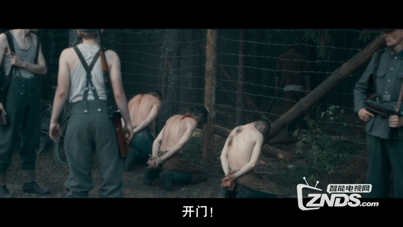 034cf11d33220137s.png