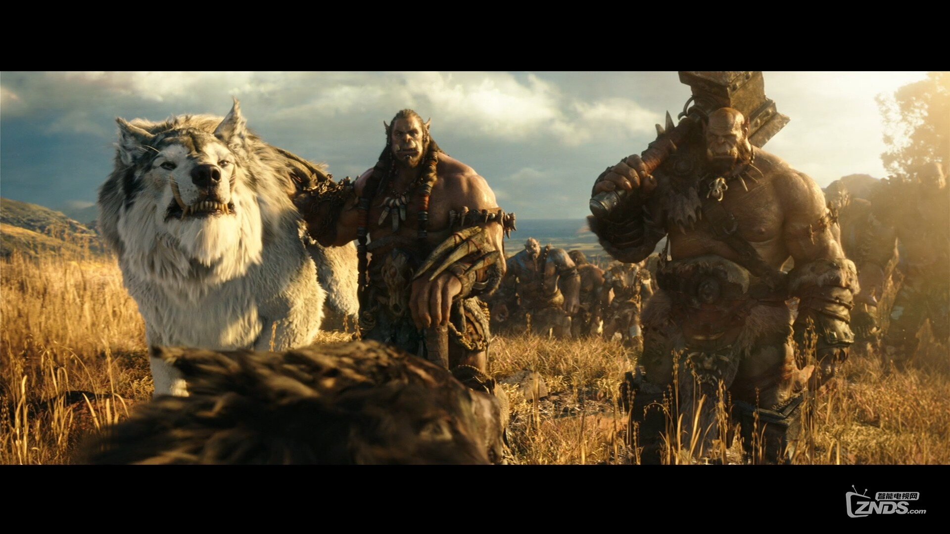 Warcraft_Trailer1_Texted_Stereo_PCM_1080p.mov_20160214_211340.609.jpg