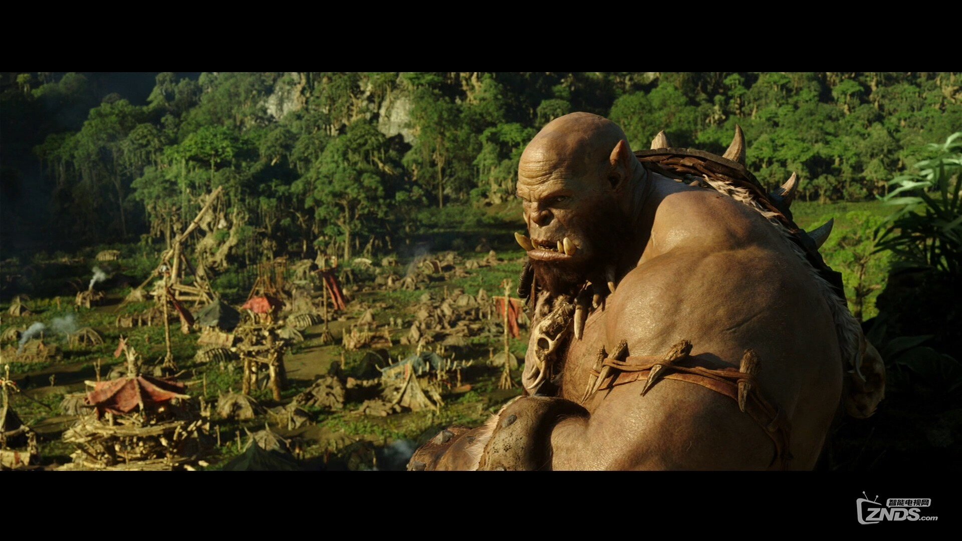 Warcraft_Trailer1_Texted_Stereo_PCM_1080p.mov_20160214_222745.343.jpg
