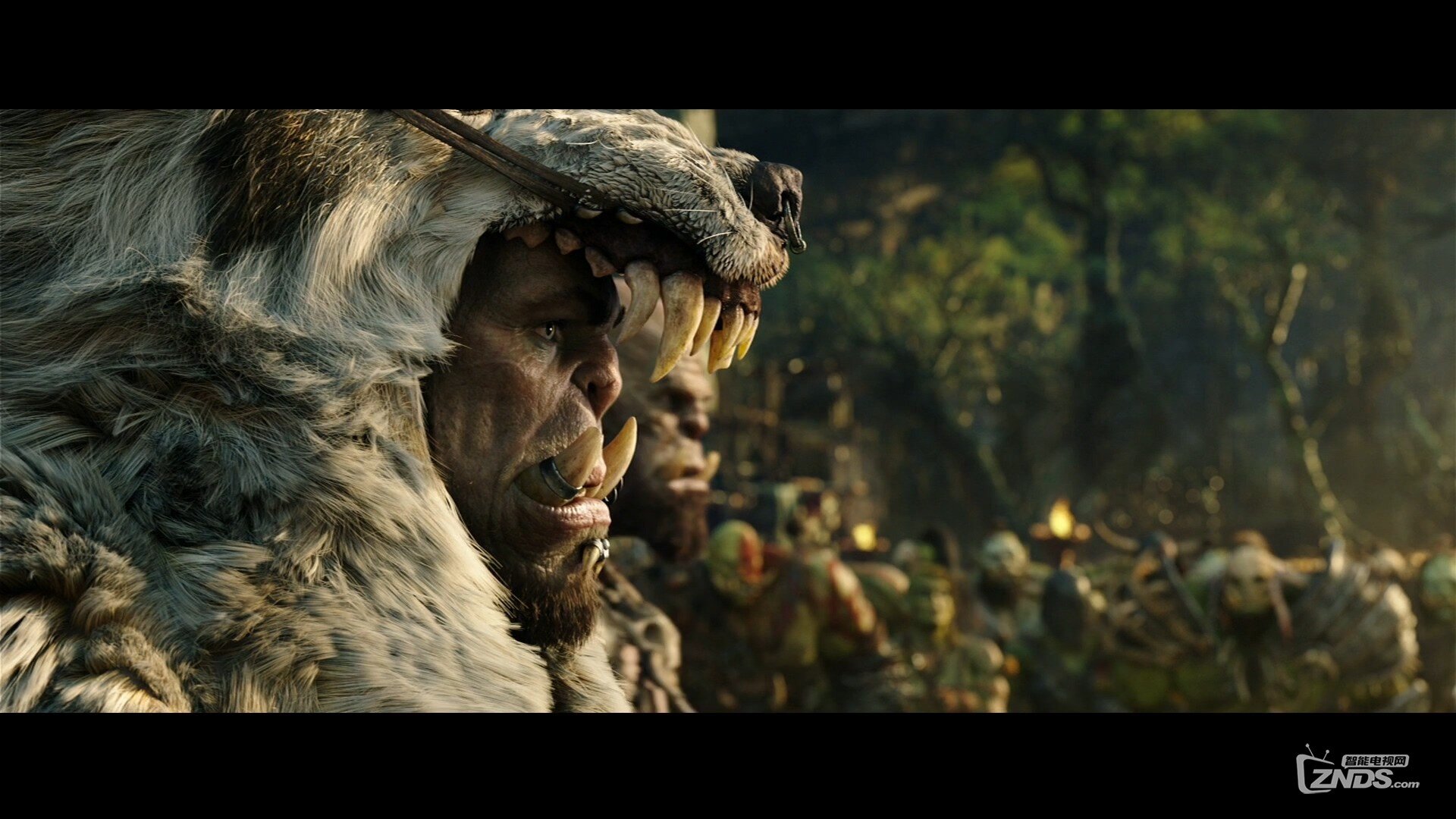 Warcraft_Trailer1_Texted_Stereo_PCM_1080p.mov_20160214_211904.875.jpg