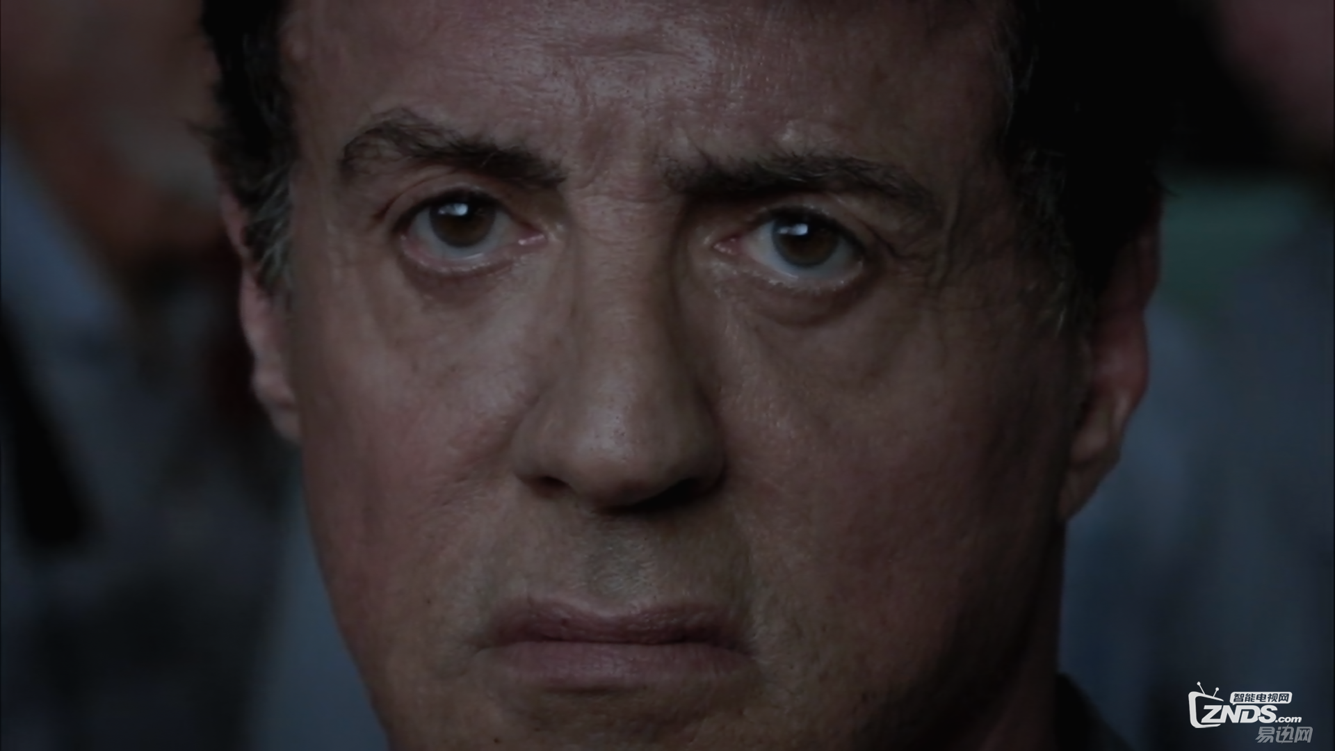 56a86d19Neda95403.png
