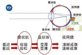 看电视伤眼睛怎么办？教你正确护眼姿势！