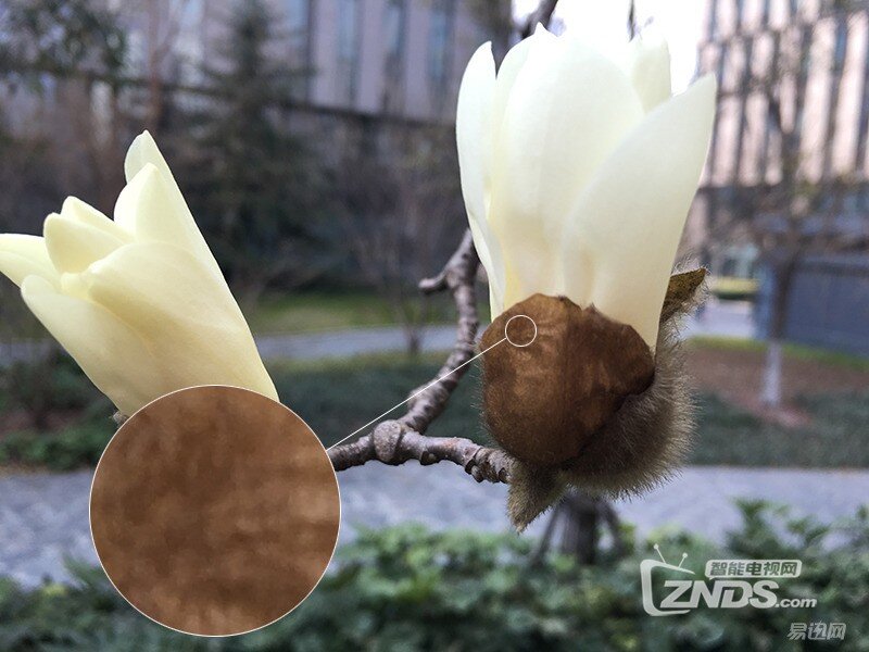 拍照效果比肩苹果——奇酷旗舰极客版体验评测