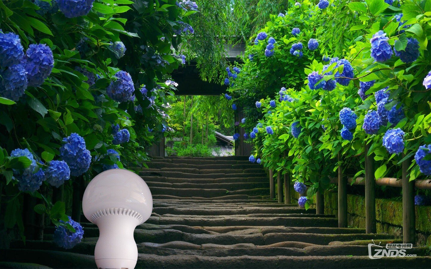 浪漫 闹钟 AddLight智能蘑菇灯