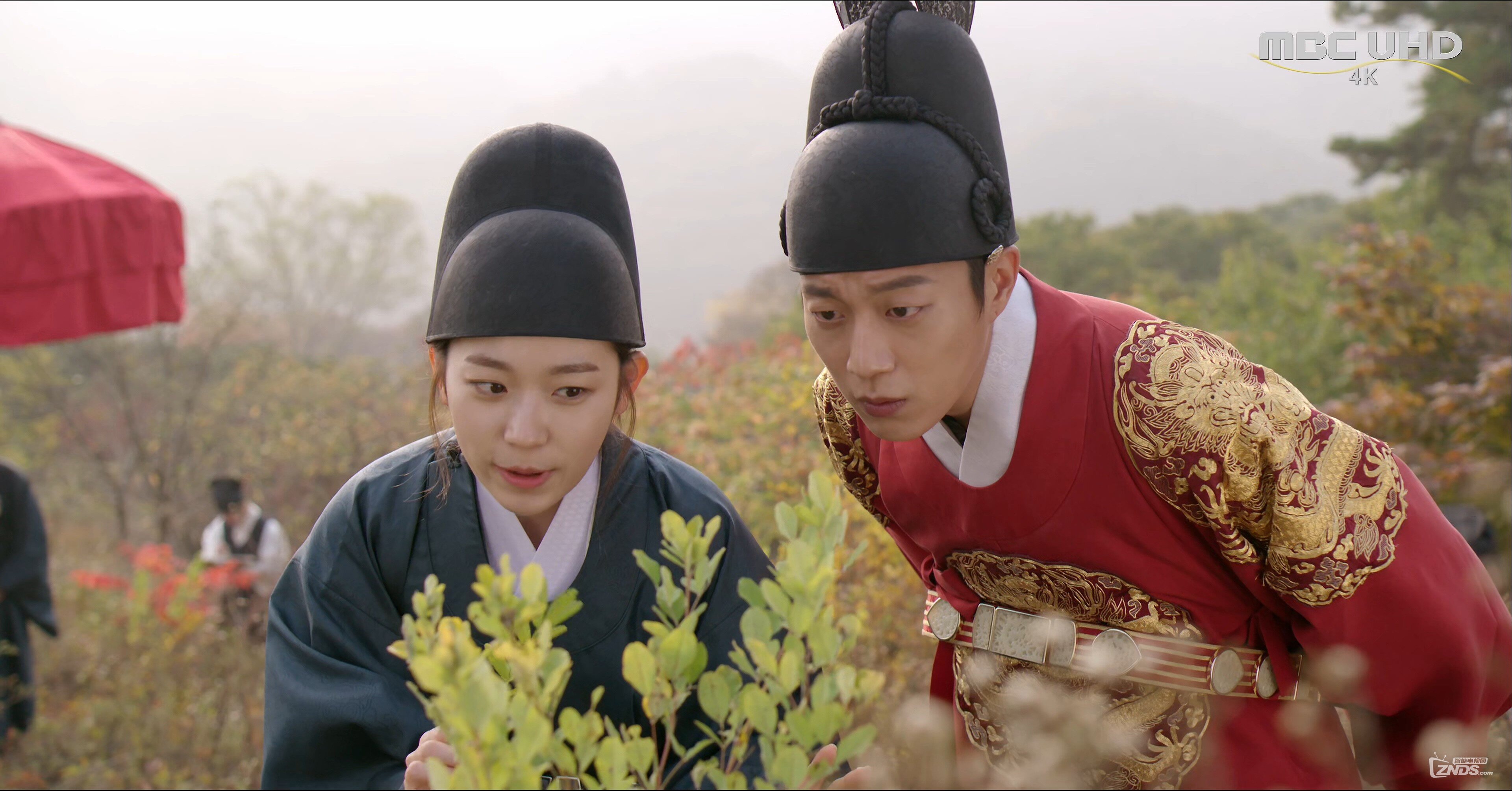 [4K韩剧]扑通扑通LOVE LOVE 2015 第1、2集