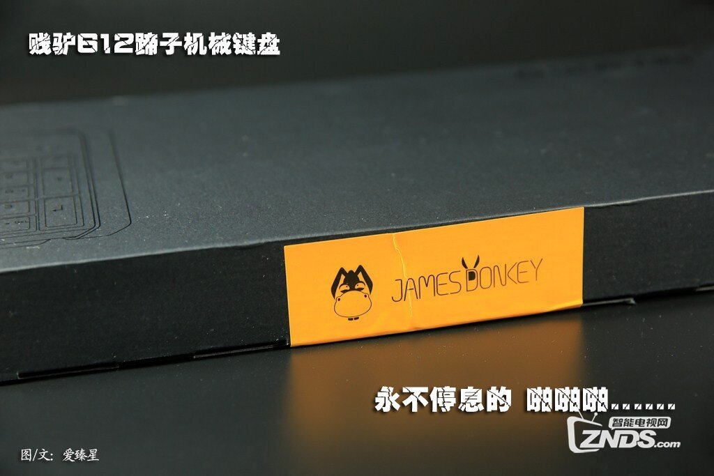 084848jttutzaykjpmc7mp.jpg