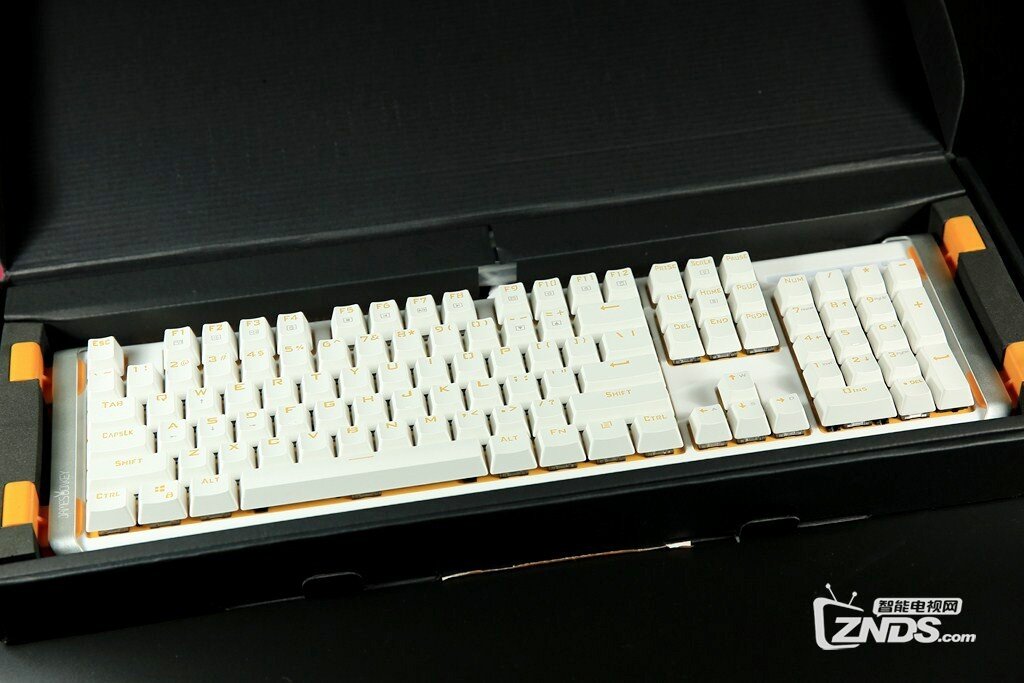 084851o7nbkx588xvn59sb.jpg