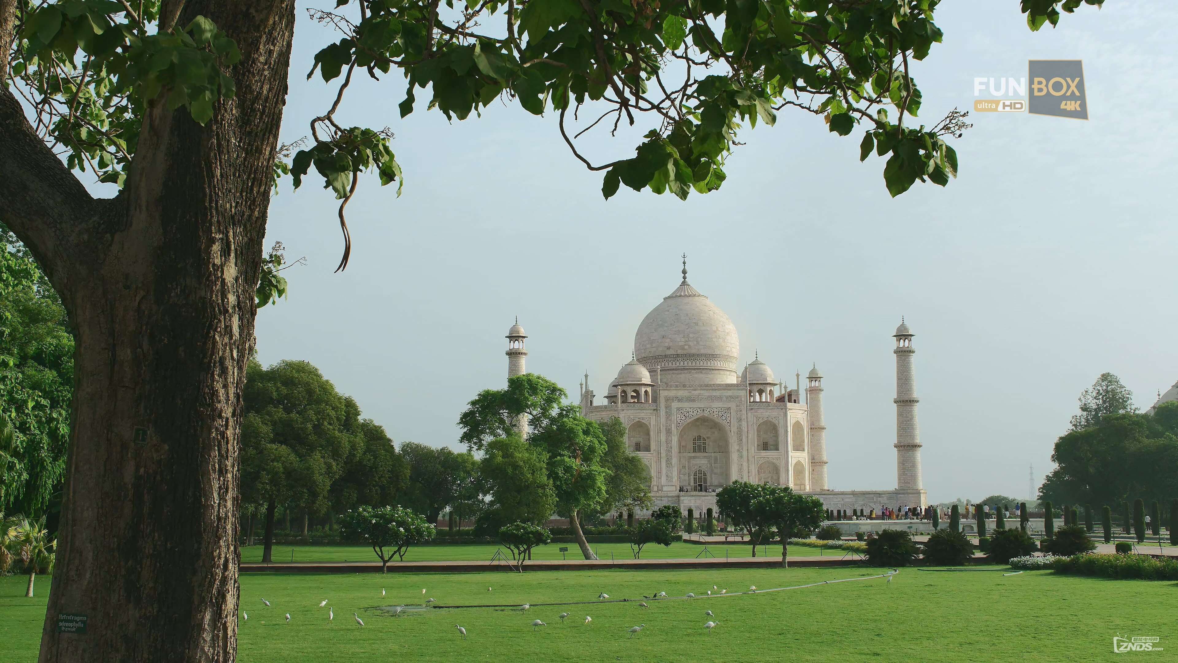 7 Emotions 7 Wonders Part 1 (4K 2160p UHDTV HEVC AC3 En) Lotos2007.mkv_20160310_.jpg