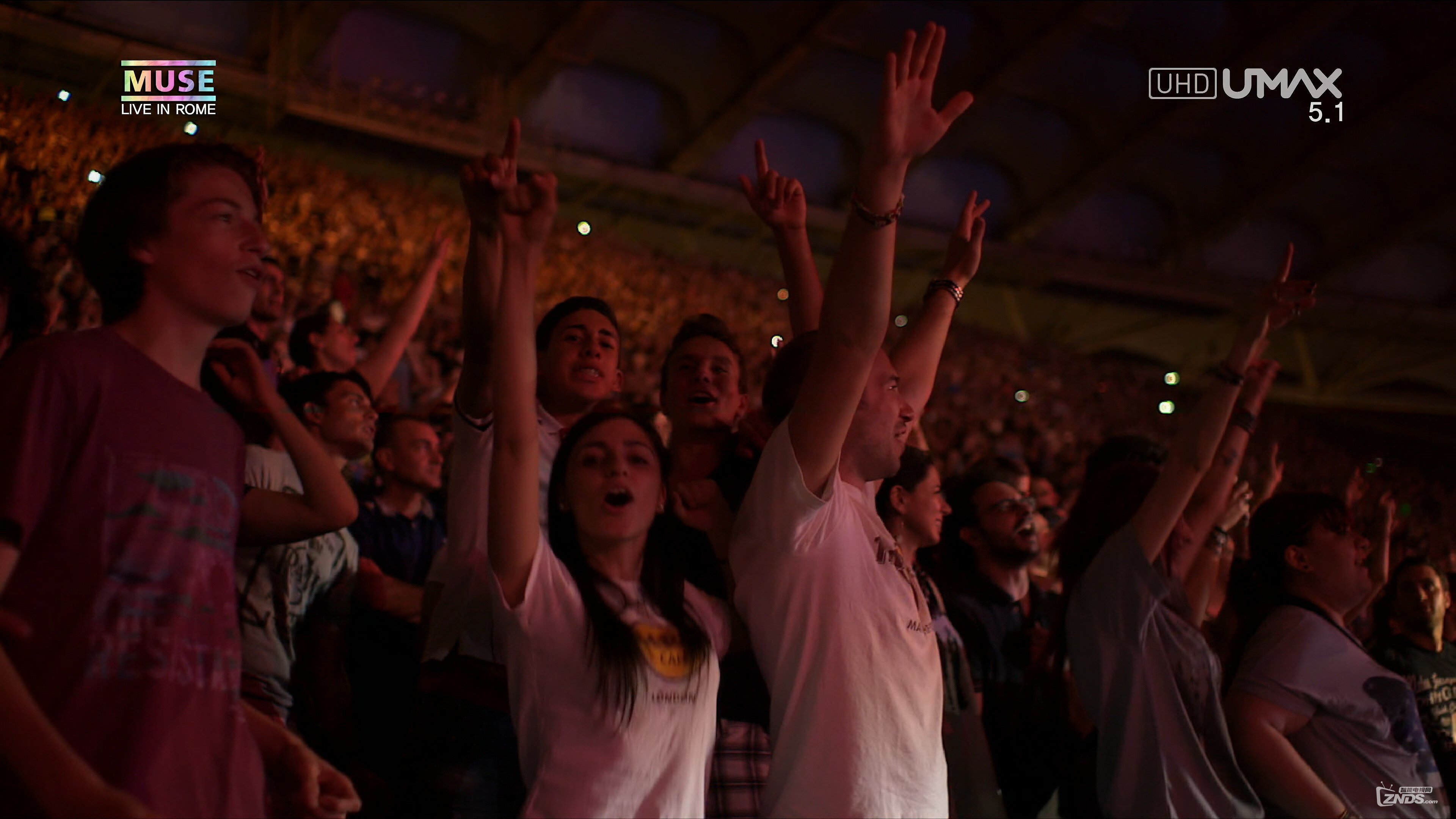 Muse.Live.At.Rome.Olympic.Stadium.2013.2160p.UHDTV.HEVC.mkv_20160313_001915.609.jpg