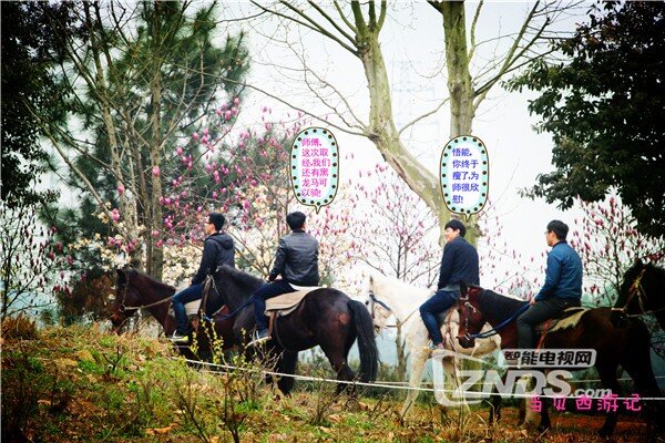 当贝西游.jpg
