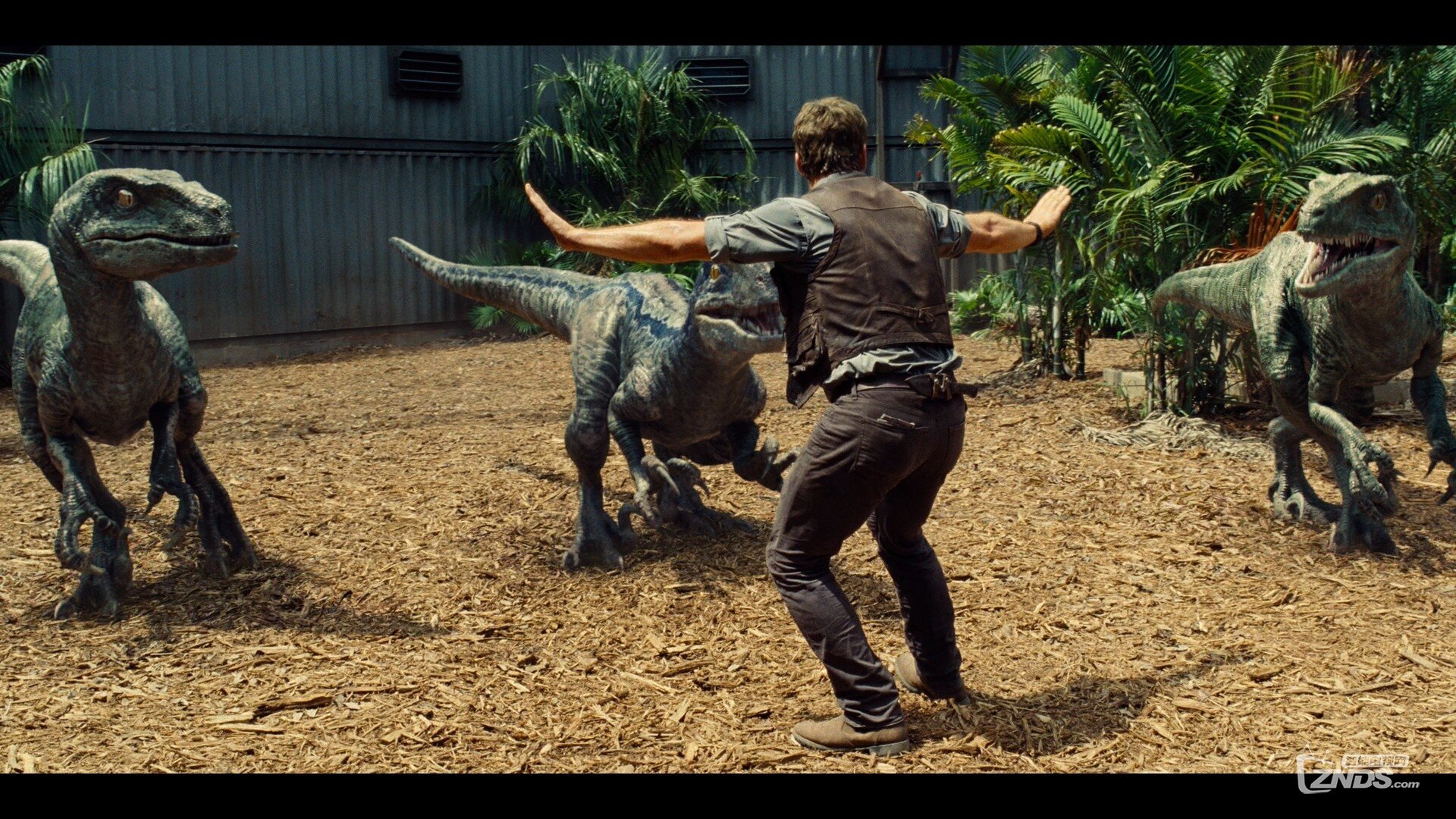 Jurassic.World.2015.1080p.BluRay.REMUX.AVC.DTS-HD.MA.7.1-RARBG.mkv_20160331_211008.296.jpg