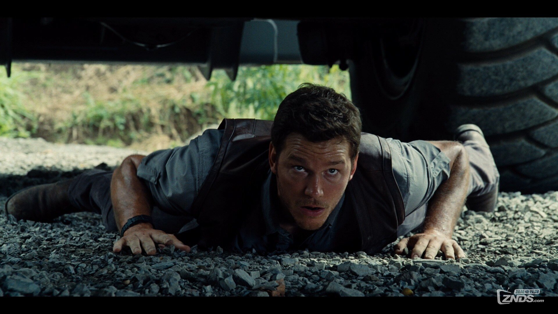 Jurassic.World.2015.1080p.BluRay.REMUX.AVC.DTS-HD.MA.7.1-RARBG.mkv_20160331_211838.453.jpg