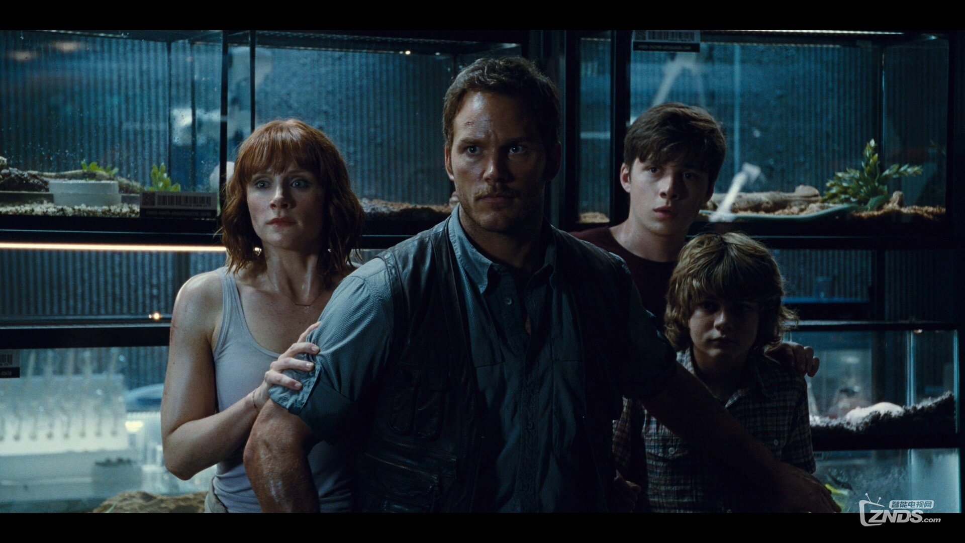 Jurassic.World.2015.1080p.BluRay.REMUX.AVC.DTS-HD.MA.7.1-RARBG.mkv_20160331_214506.828.jpg