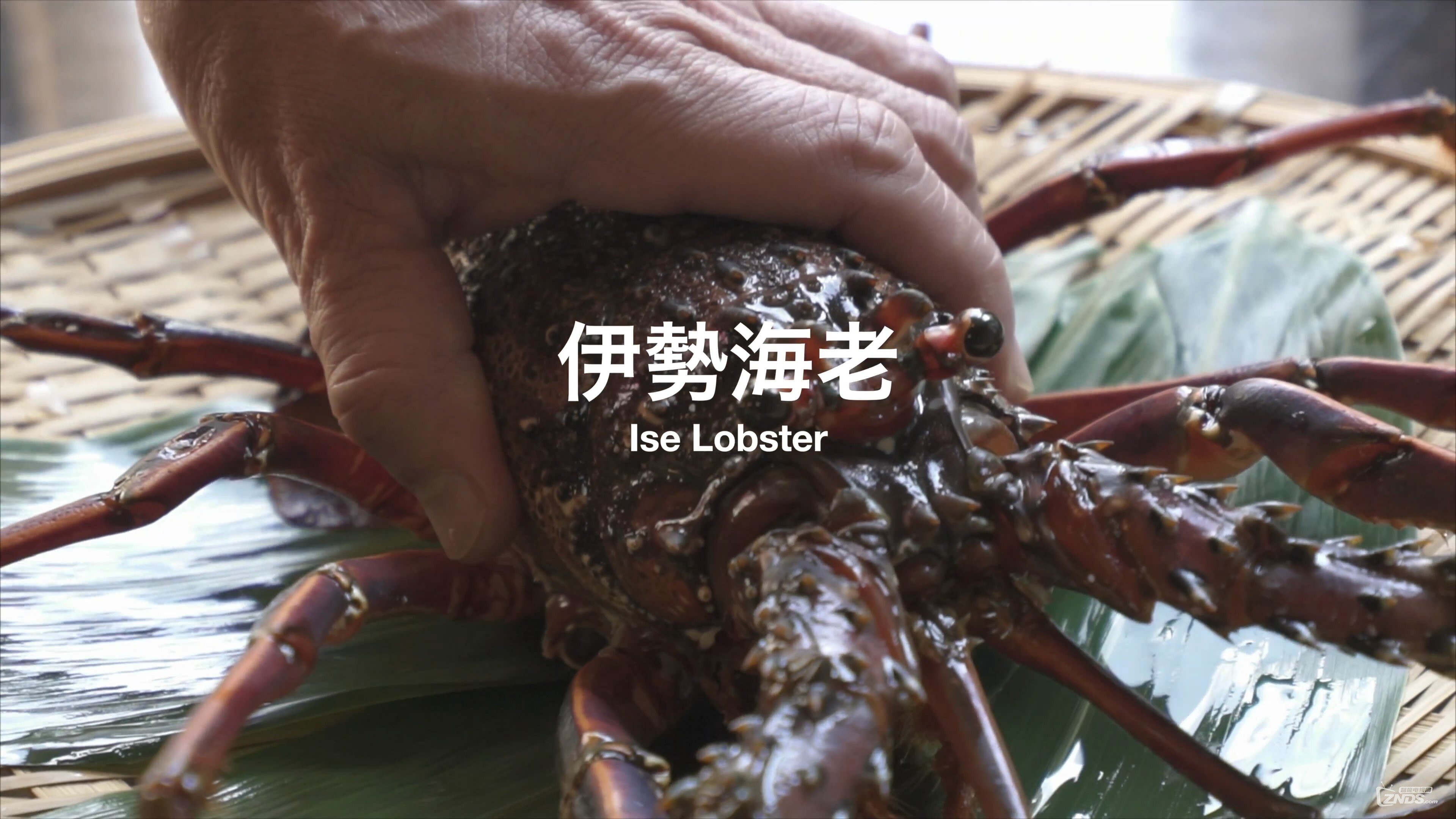 snapshot20160402145318.jpg