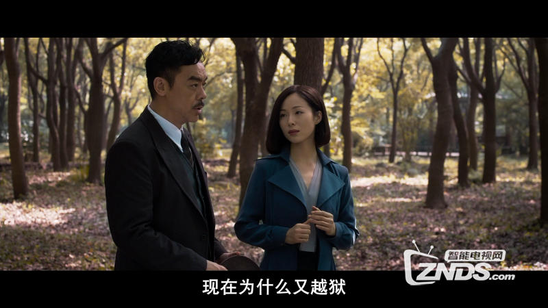 12f05a883fa37dcds.png