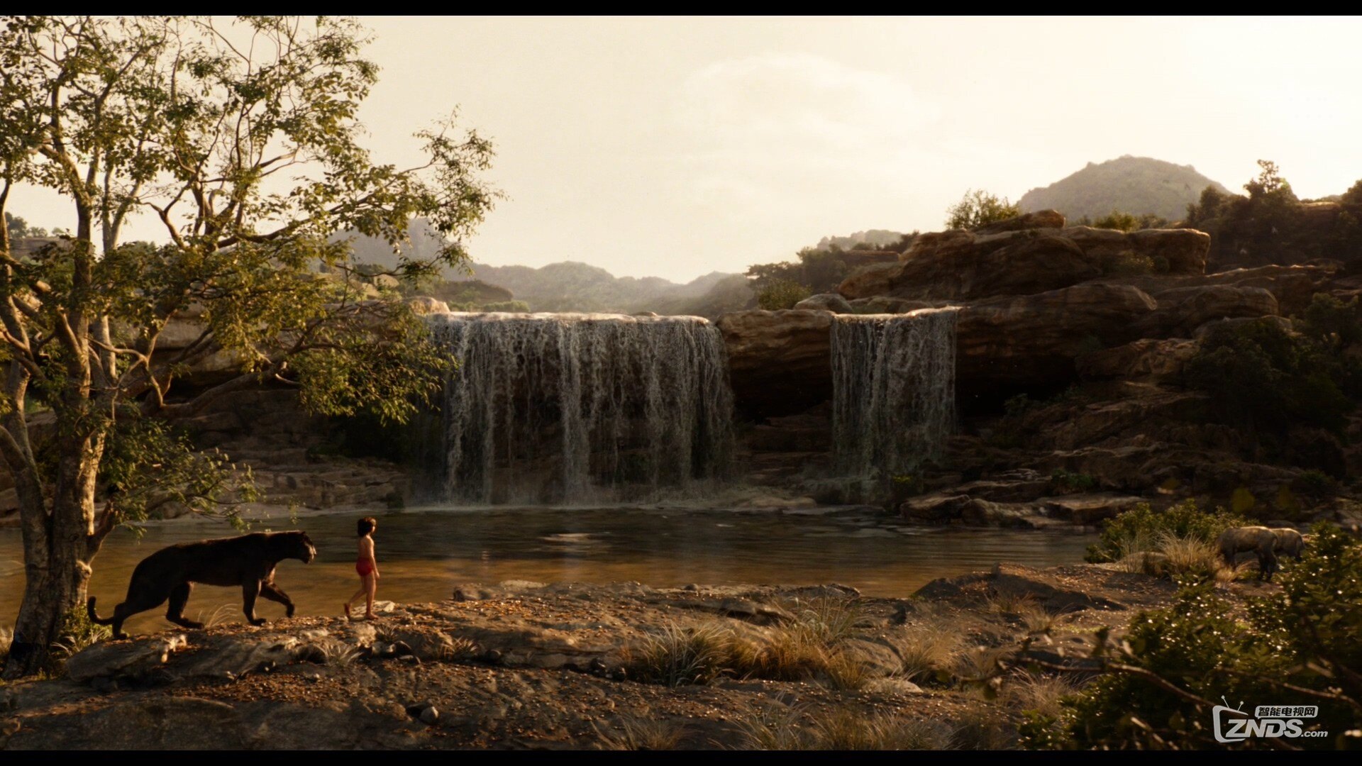 [高清电影预告片]奇幻森林 the jungle book 2016[1080p/ .