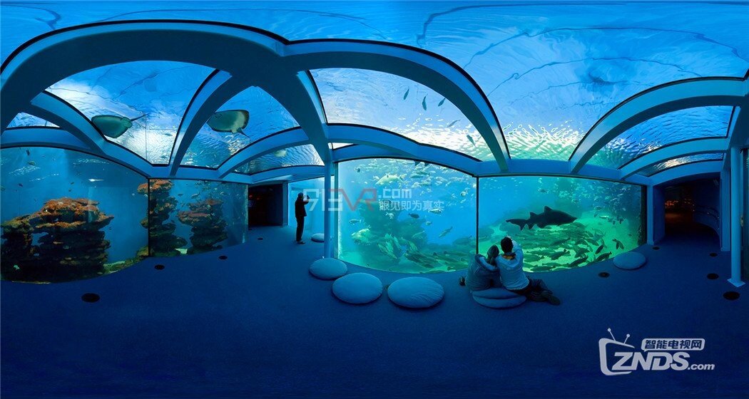 【ZNDS-VR游戏】《水族馆》随意观看海底周边的鱼和风景